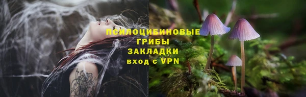 гашик Верхнеуральск