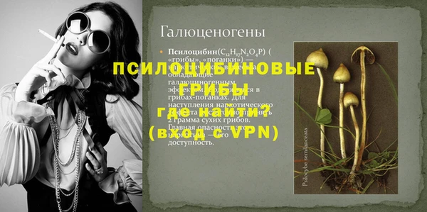 эйфоретик Новодвинск
