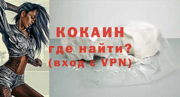 шишки Волоколамск